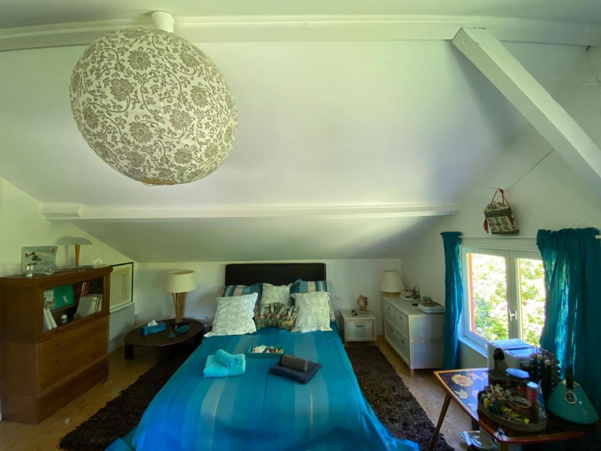 Le Loft Au-Dessus Des Pins Apartment Лаканау Екстериор снимка